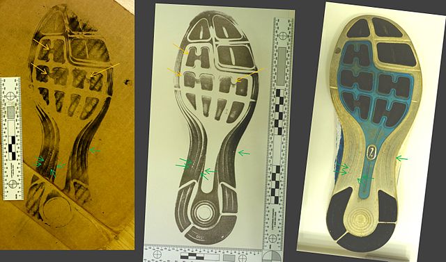 forensic science 