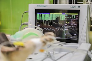certified cardiographic technicians carry out EKGs