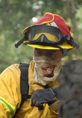 Wildland Firefighter Job