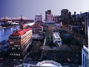 Rockefeller University New York, NY