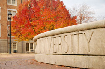 new york colleges