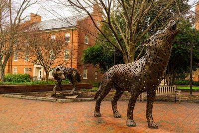 At NC State University, you can earn an online horticulture masters degree.