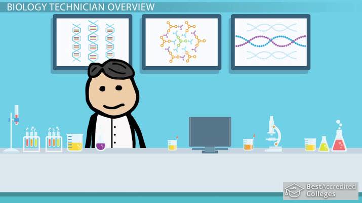 Become A Biology Technician Education And Career Roadmap