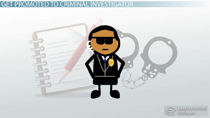 How to Become a Criminal Investigator: Education & Career Requirements