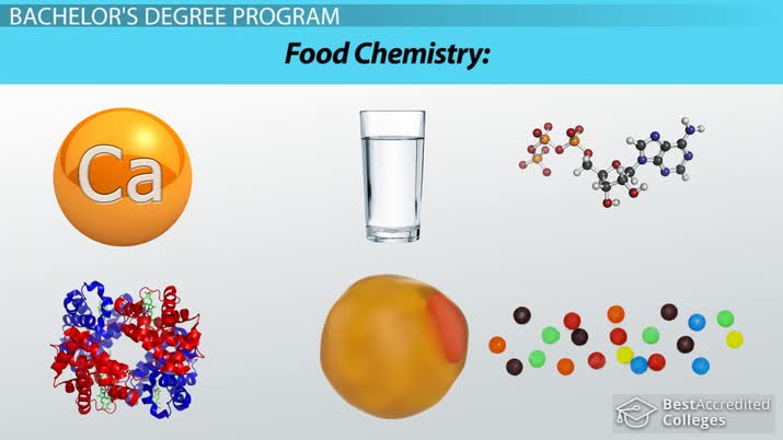 online-food-science-degree-program-information