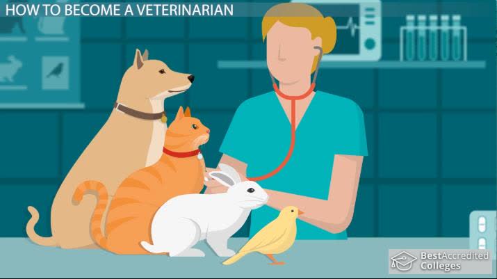 Veterinarian