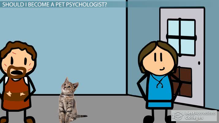 Become a Pet Psychologist: Education and Career Roadmap