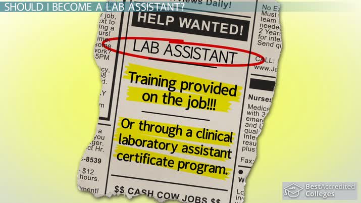 how-to-become-a-lab-assistant-step-by-step-career-guide