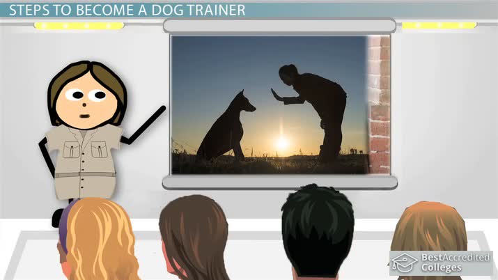 how long does it take to become a certified dog trainer