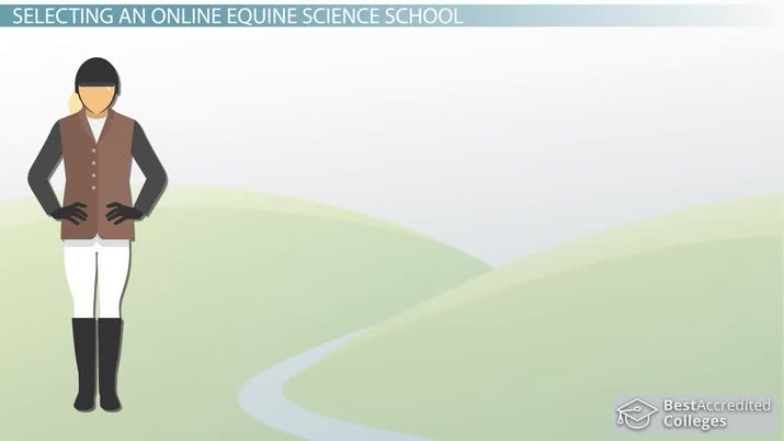 Equine Science Online Schools: How to Choose