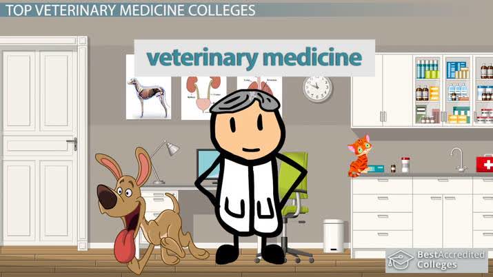 Top Colleges of Veterinary Medicine: List of Top Schools