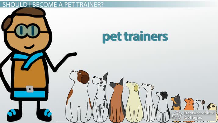  What Education Do You Need To Be A Dog Trainer 