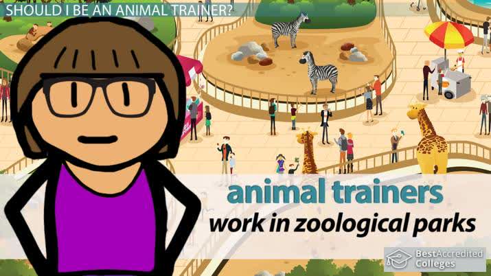 Become an Animal Trainer: Education and Career Roadmap