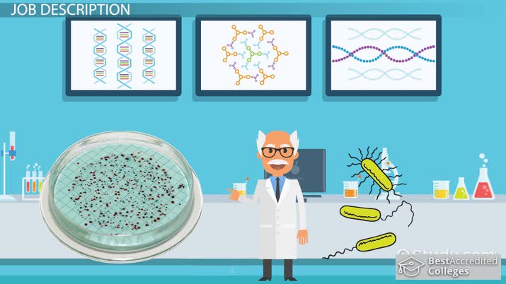 Fermentation Microbiologist: Job Description, Salary and Career Outlook