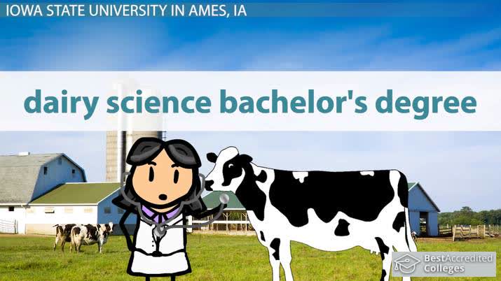 Best Colleges with Animal Studies Programs: List of Top Schools Best Colleges with Animal Studies Programs: List of Top Schools