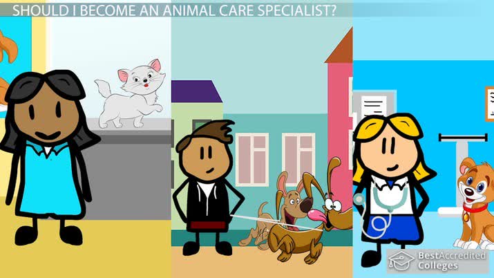 How to Become an Animal Care Specialist: Education and Career Roadmap