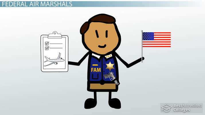 Become a Federal Air Marshal: Education and Career Roadmap