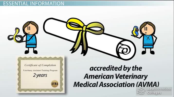 Veterinary Technician Education Requirements and Training Info